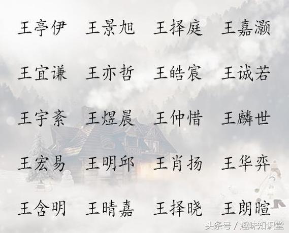 给姓王的男孩起名四个字的名字推荐