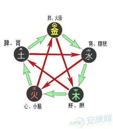 平地木和涧下水配吗