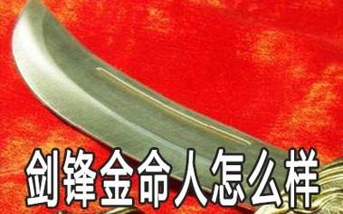剑锋金命为什么有贵气