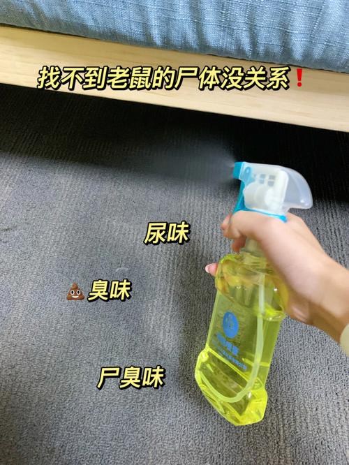 家里突然有臭味大凶吗