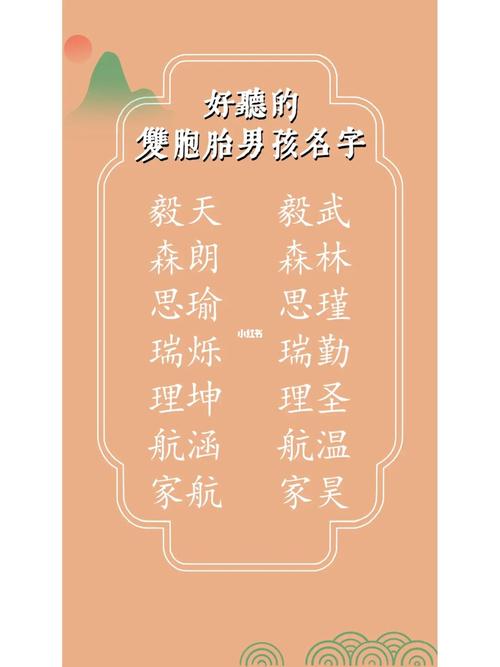 男宝双胞胎取名大全霸气十足