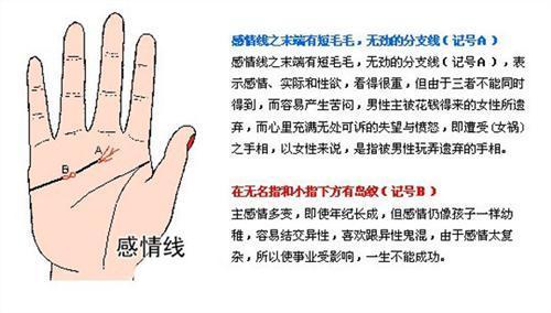 手相图解感情线分叉的含义分析