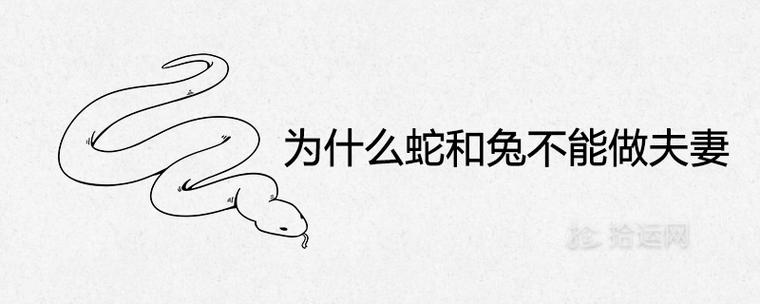梦见蛇和兔是什么意思
