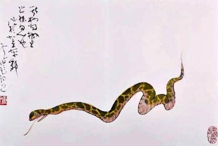 傲岸不羁,被女友狠甩却不会在意的生肖