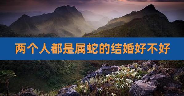 两个属蛇能不能结婚
