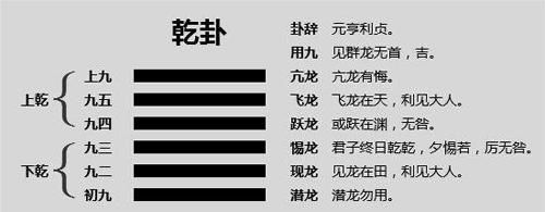 乾卦在社会中的象征物