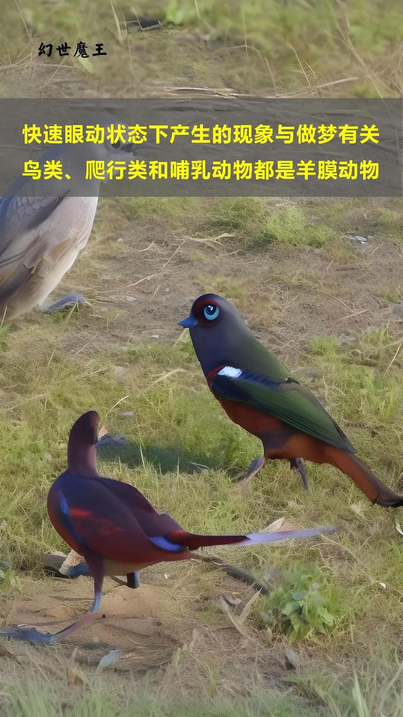 梦见恐龙 梦见恐龙来袭击全部人在逃跑