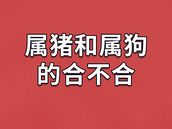 属狗最不喜欢男生做的一件事情