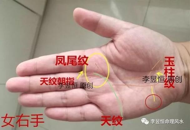 什么手相好有什么特征