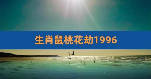 这些生肖今年会遇到桃花劫