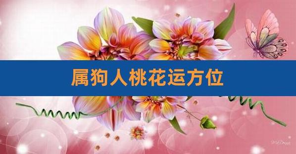 2022年属狗的人桃花方位在什么方位