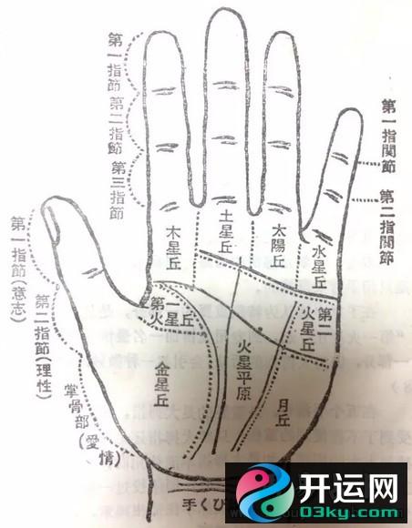 手指关节纹看命运