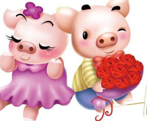 我属鸡老婆属猪今年财运怎么样