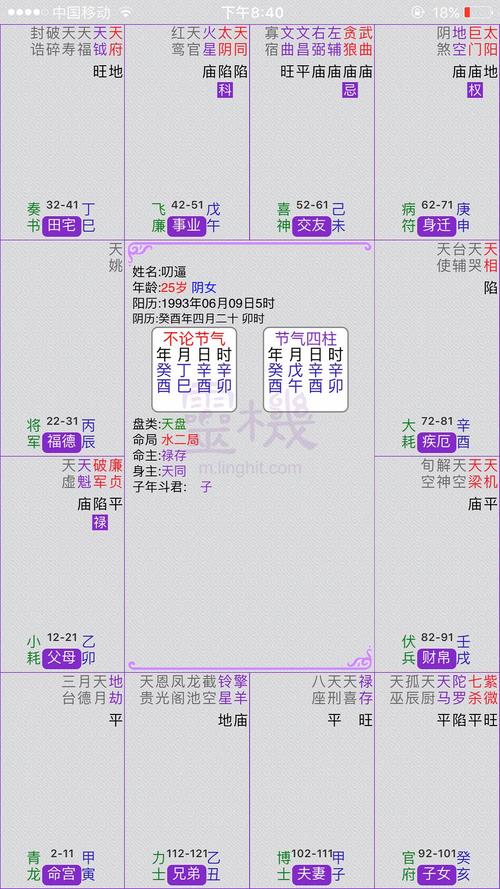 紫薇斗数中忌庙是什么意思