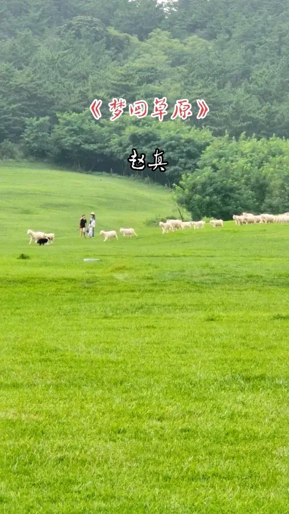 梦见大草原 周公解梦之梦到大草原