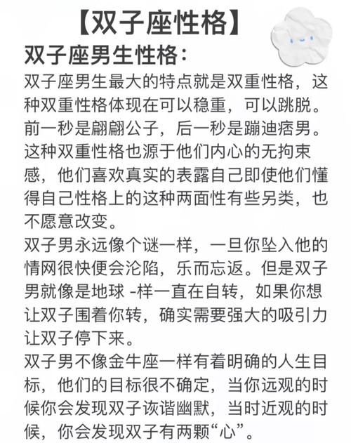 双子座完成过最厉害的事情