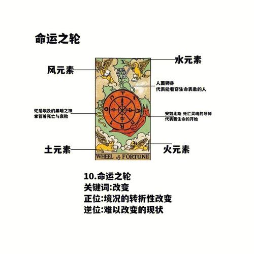命运之轮上的星座