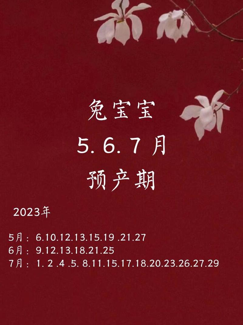 2023年属兔宝宝哪个月出生好