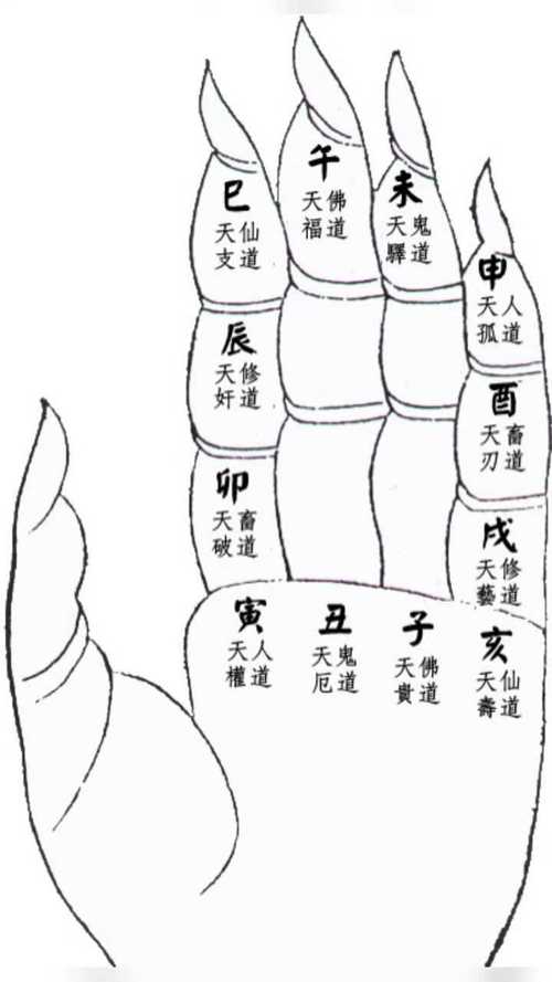 一掌经命宫和时宫