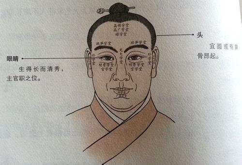 面相学:你适合在什么环境中发展