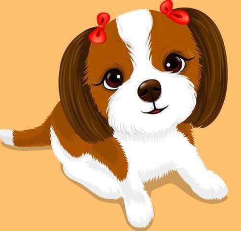 原来属狗女适合这样的生活状态