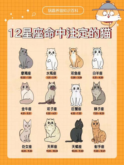 哪些星座注定有外遇