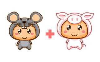 生肖鼠和生肖猪属相适合做夫妻吗
