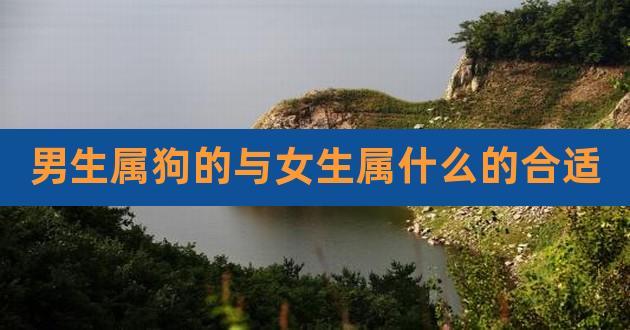 属狗男喜欢什么身材的女人