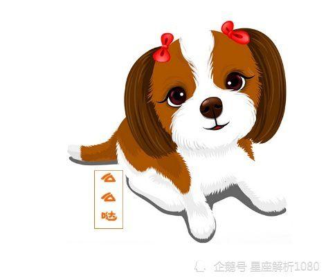 属狗怎么做才能成功