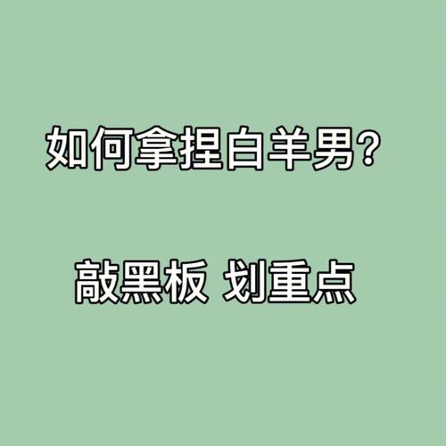 白羊座的网恋历程