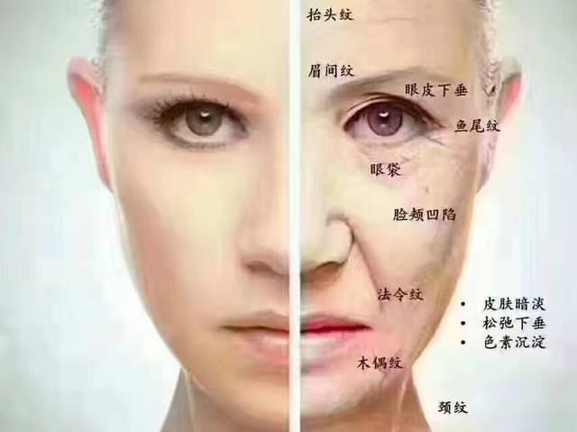 法令纹和悬针纹有什么区别