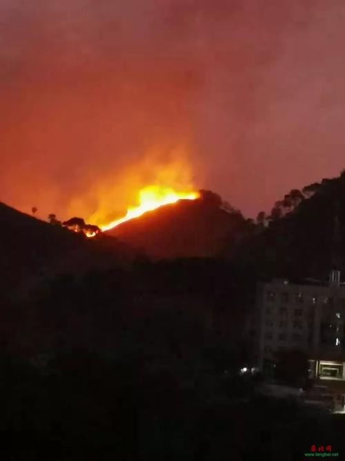 梦见山林起火 山中起火