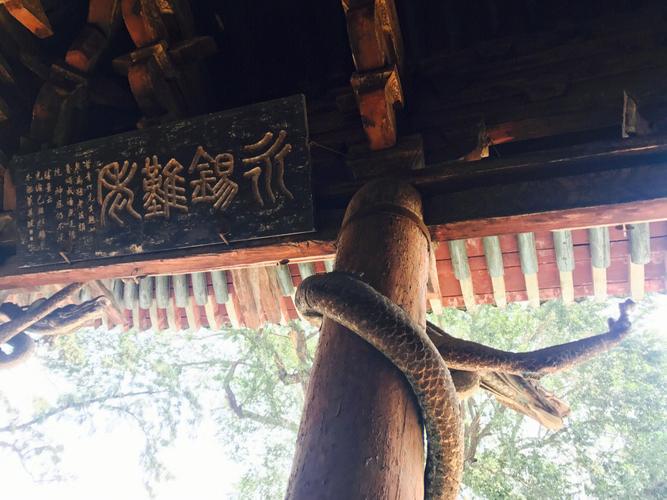 发现晋祠的美，陕西晋祠风水解说