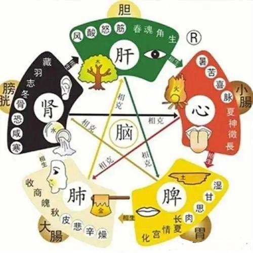 中医五行相生相克表