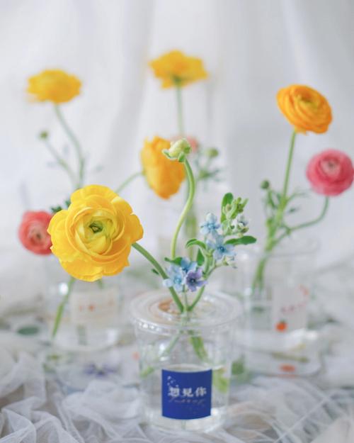梦见塑料花 假花周公解梦,梦见塑料花 假花是什么意思?