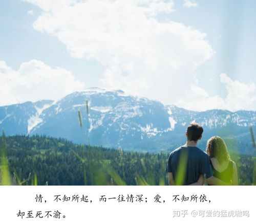 你心中最向往什么样的爱情