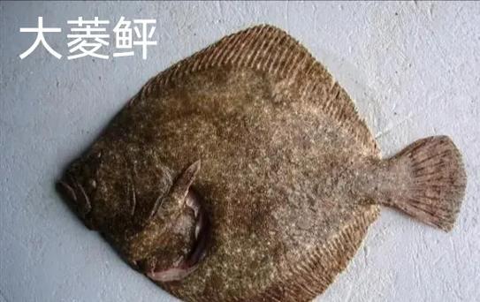 水产养殖起什么名字好