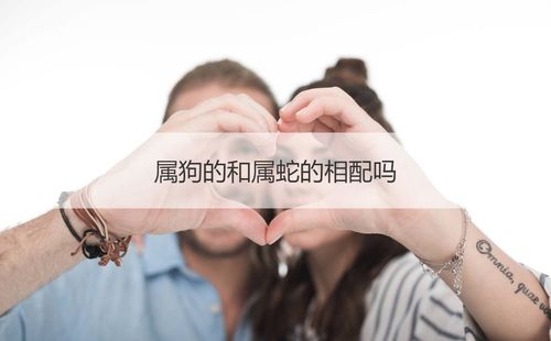 属蛇和属狗的婚姻合不合