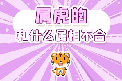 属虎和属虎合不合