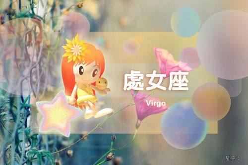 空话说许多实事做很少的星座