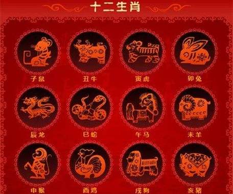 2022年属什么生肖属相