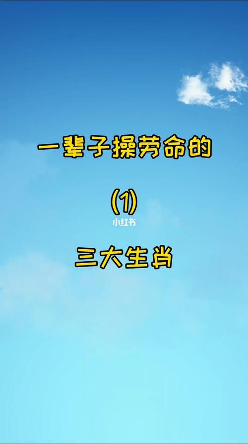 2012年最操劳的生肖