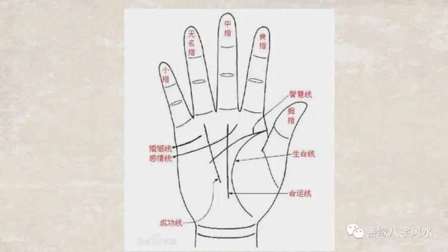 手掌纹路怎么看你知道吗