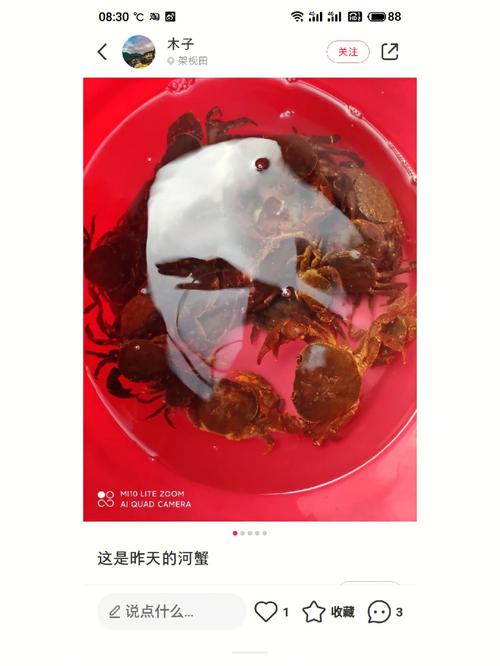 属龙脑子进水,可以养一池螃蟹