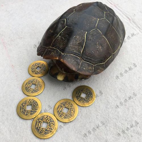 算卦的龟壳裂了是什么意思