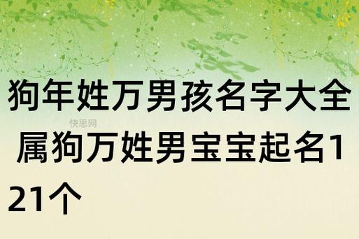 万姓狗年女宝宝名字