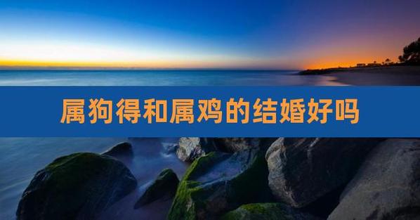 属鸡的和属狗2021年结婚好吗