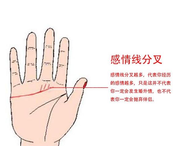 图解:手相上升线算命