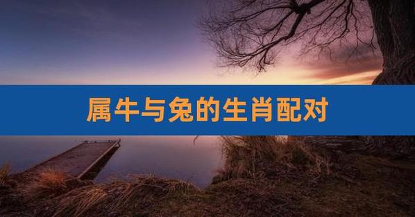 2023兔年对属牛有利吗