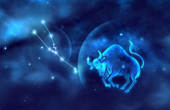 物质至上 打一星座